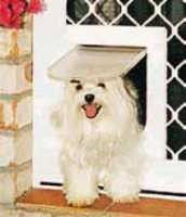 A small-sized dog can fit through a Security Screen Door.
