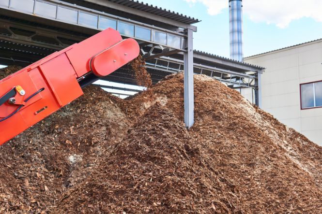 A large pile of wood chips is being loaded onto a conveyor belt.