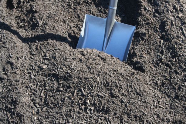 A shovel is sticking out of a pile of dirt.