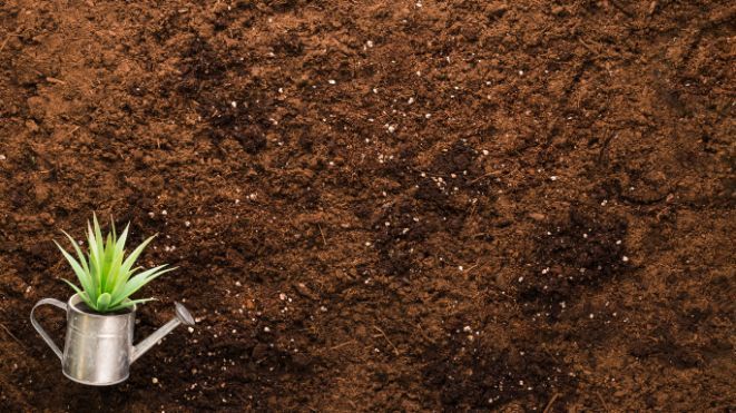 A watering can and a potted plant are sitting on top of a pile of dirt.