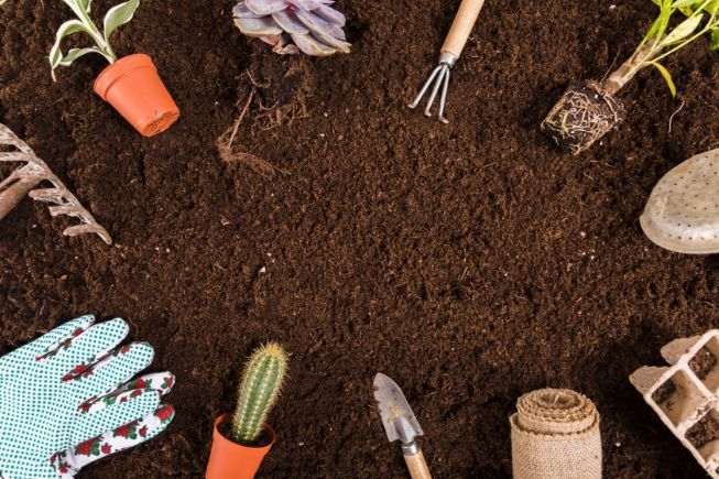 A bunch of gardening tools are laying on top of a pile of dirt.
