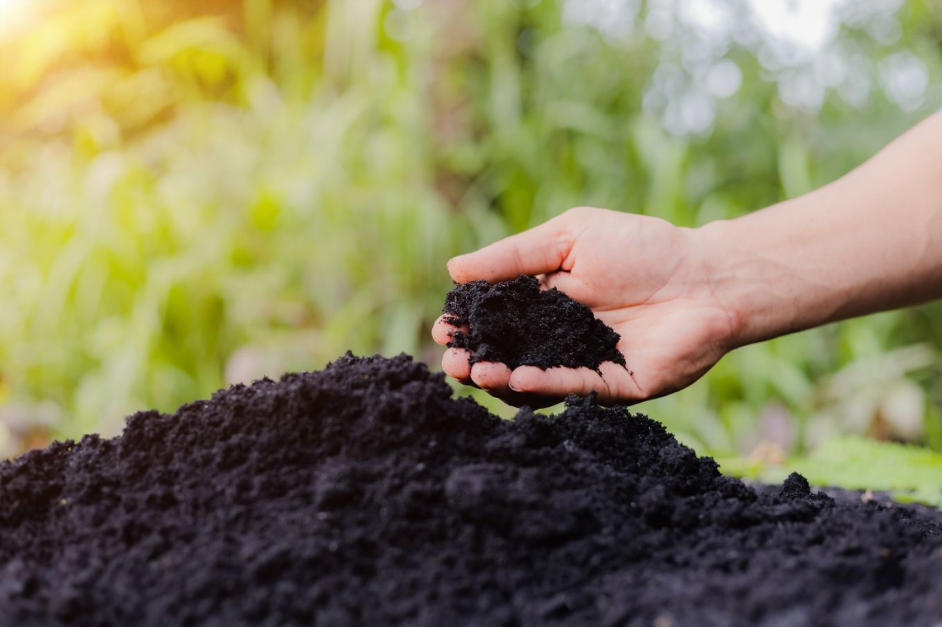 A person is holding a pile of black soil in their hands.