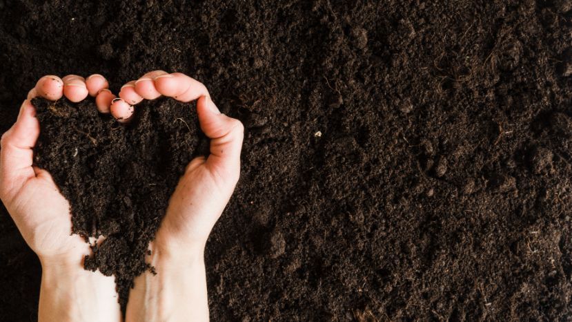 A person is holding a pile of dirt in their hands in the shape of a heart.