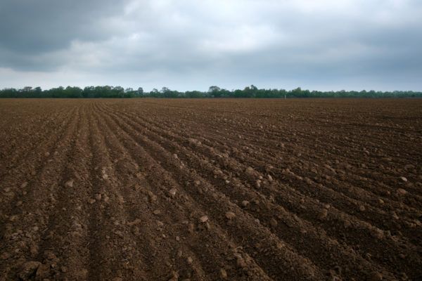 A field of dirt with a cloudy sky in the background.