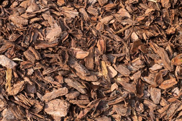 A pile of wood chips is sitting on the ground.