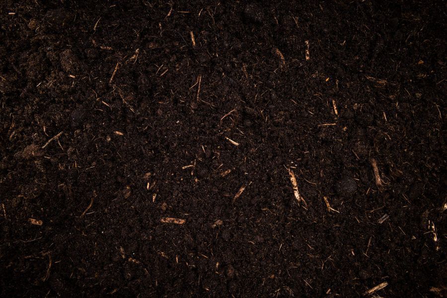 A close up of a pile of dirt with a lot of small pieces of wood in it.