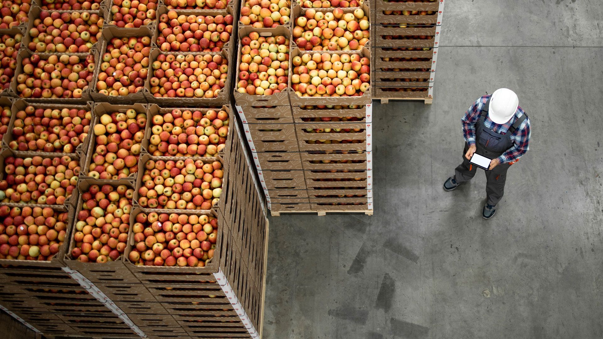 Food & Beverages Distribution