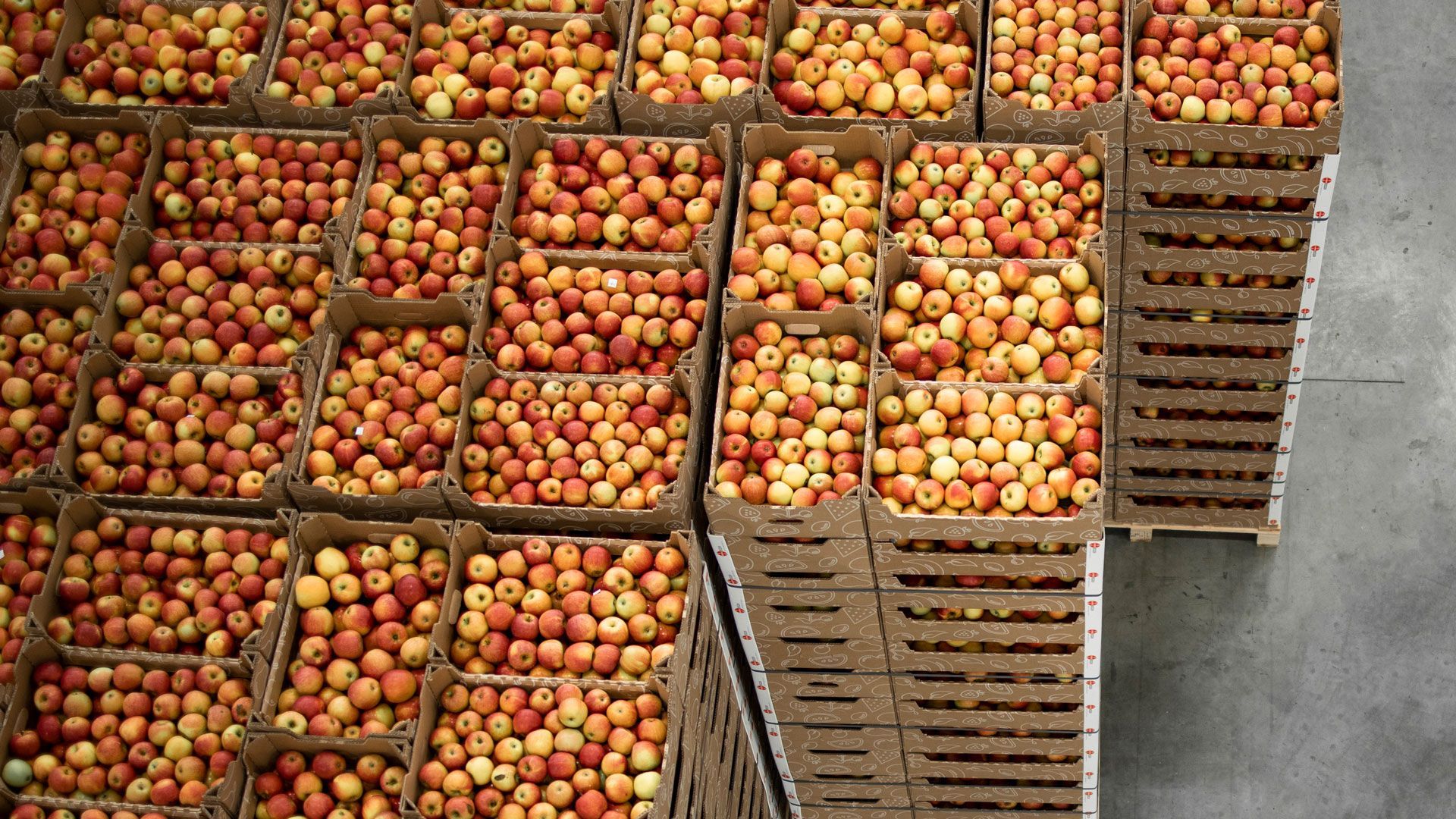 Food & Beverages Transportation Services