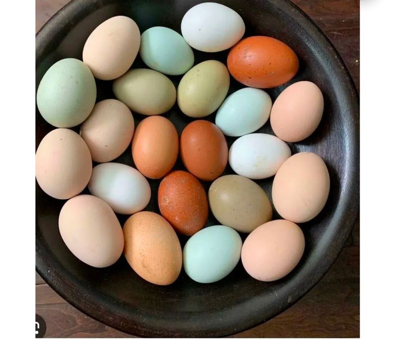 Basket of ten eggs on a wooden surface; varying shades of tan and white.