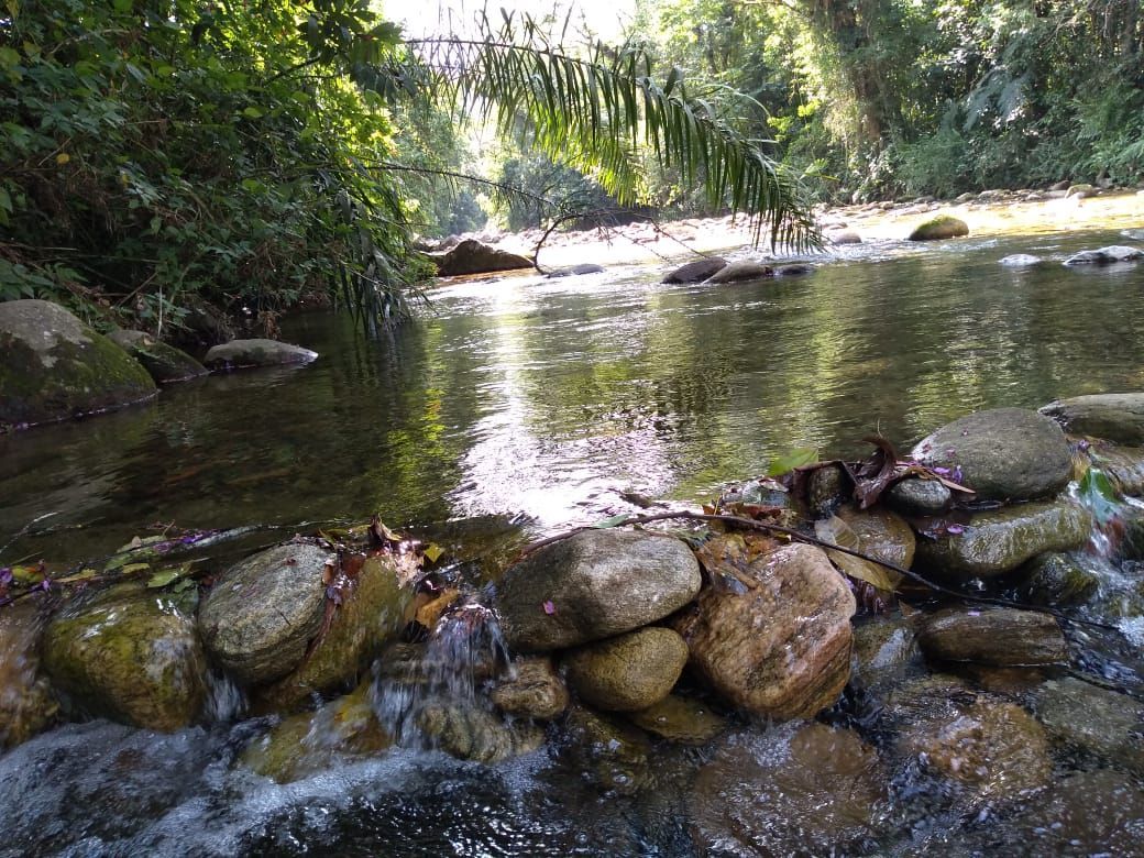 Prato típico servido no restaurante da pousada Rancho Texas em Ubatuba