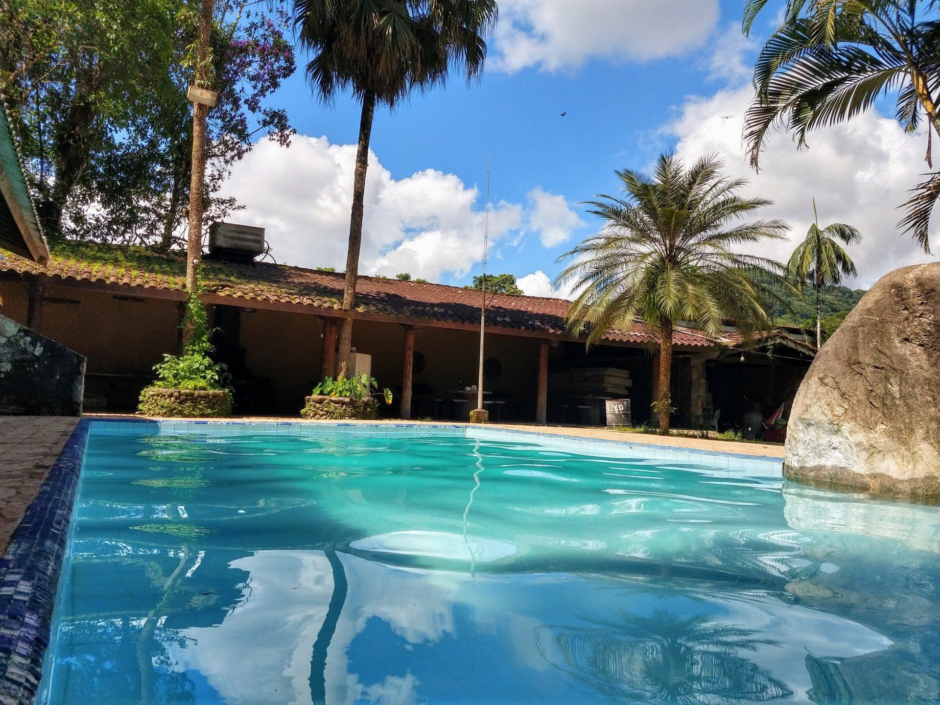 Uma grande piscina rodeada de palmeiras e uma casa.