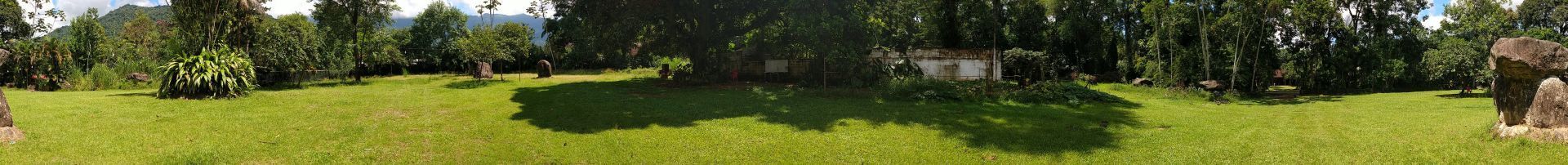 Uma imagem borrada de um campo com árvores ao fundo.