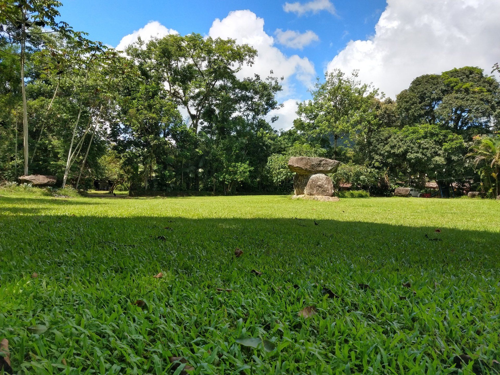 Um grande campo gramado com árvores ao fundo