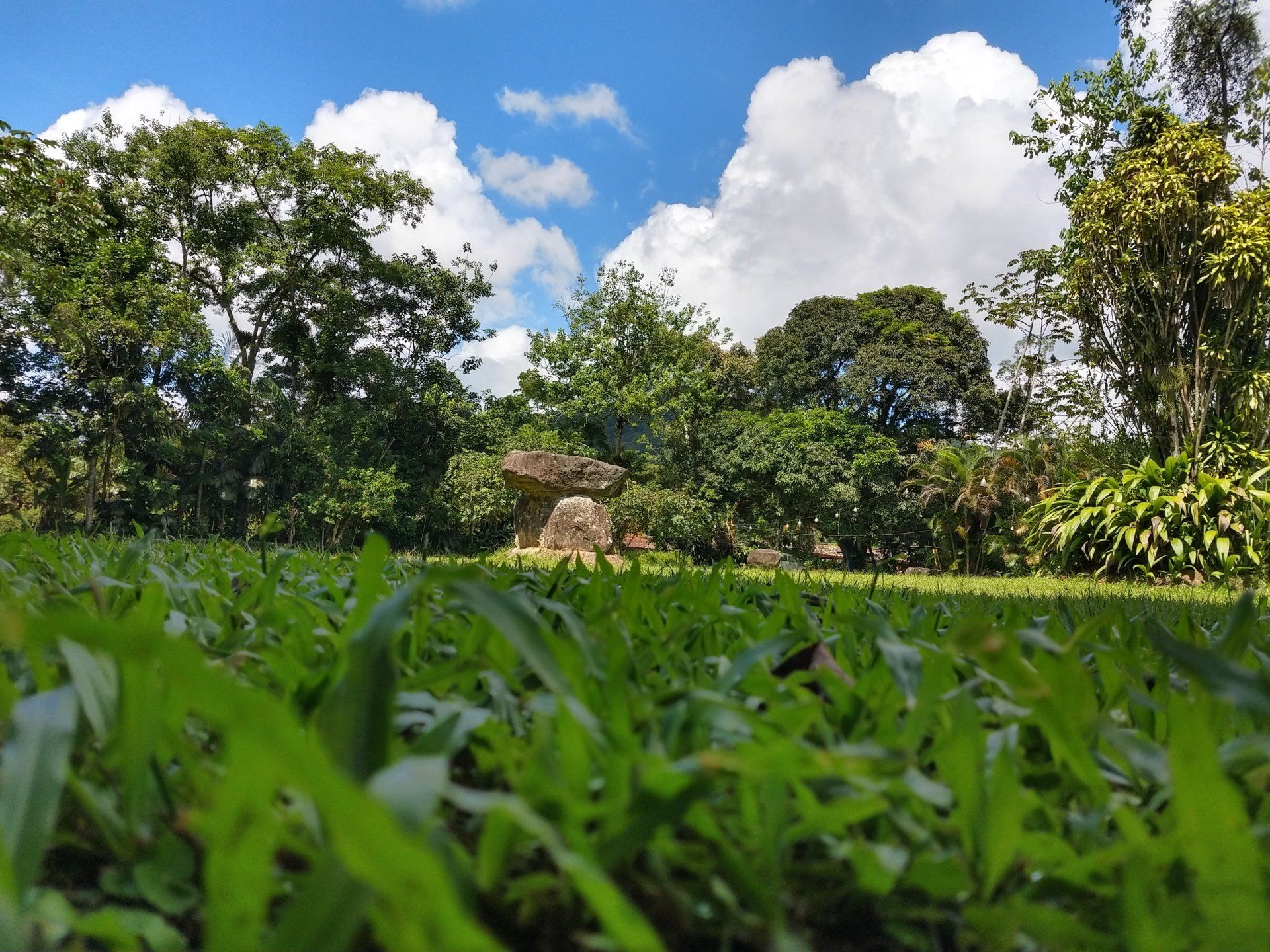 Um campo de grama com árvores ao fundo e um céu azul com nuvens