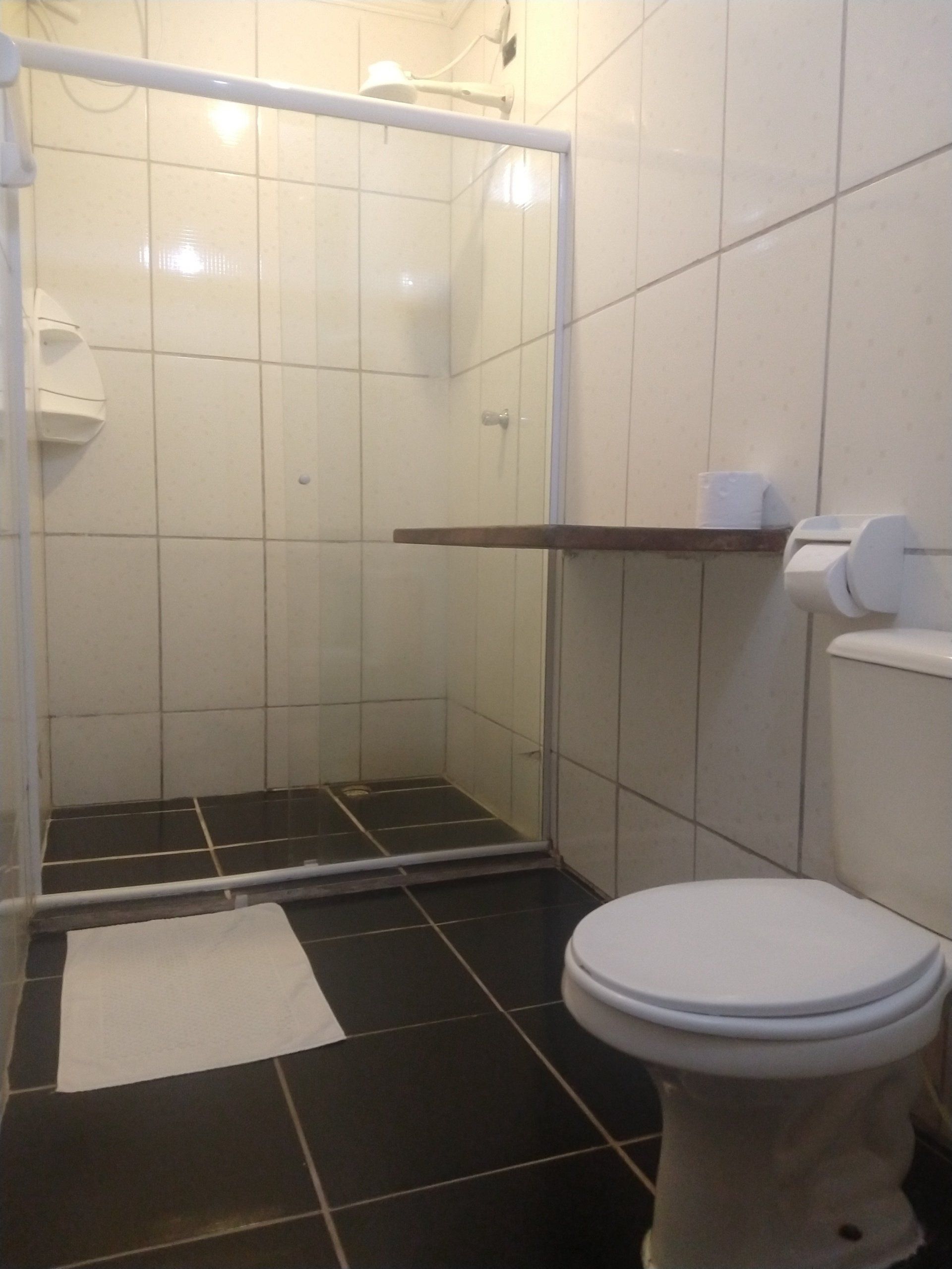 Um banheiro com vaso sanitário e chuveiro