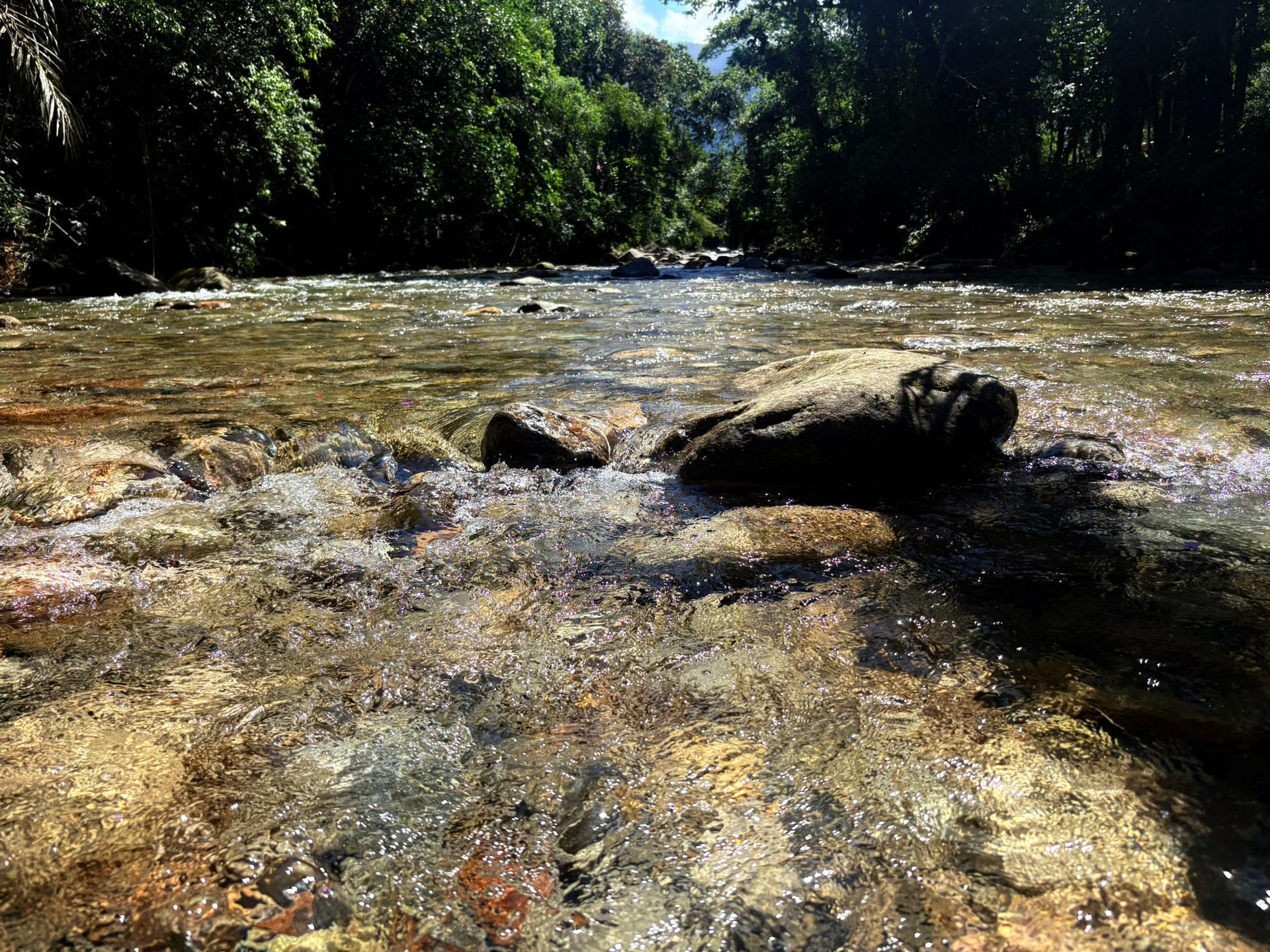 Prato típico servido no restaurante da pousada Rancho Texas em Ubatuba