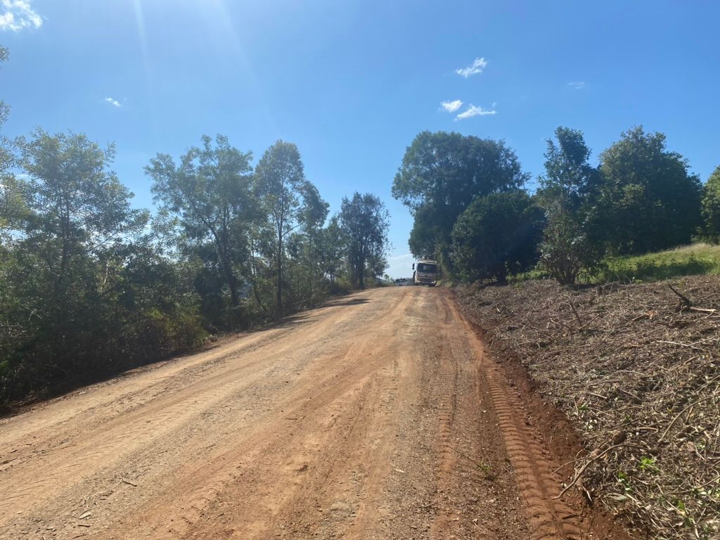 A Dirt Road Going Through a Forest — MNC Trees in Port Macquarie, NSW