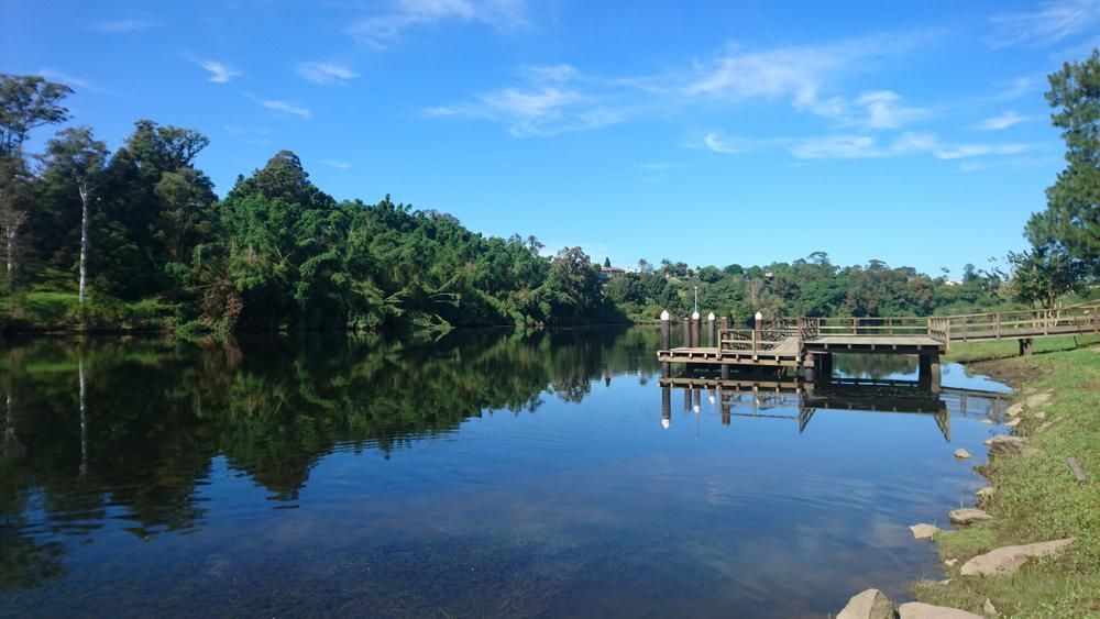 Calm lake with a wooden pier, trees, and blue sky. — MNC Trees in Kempsey, NSW