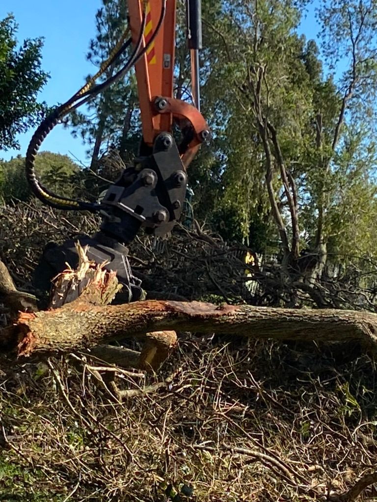 A Excavator With Tree Shear Cutting Through a Fallen Tree — MNC Trees in Kempsey, NSW