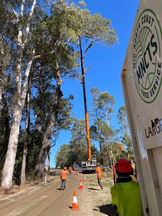 Tree Removal: Workers in Orange Vests and Hard Hats Near a Crane — MNC Trees in Bonny Hills, NSW