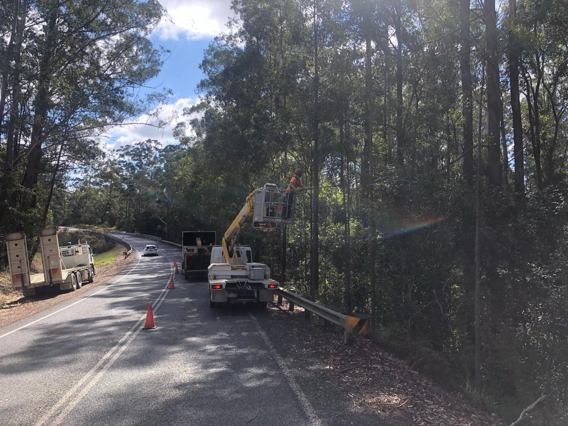 Workers in Cherry Picker Trimming Roadside Trees on A Rural Road — MNC Trees in Kempsey, NSW