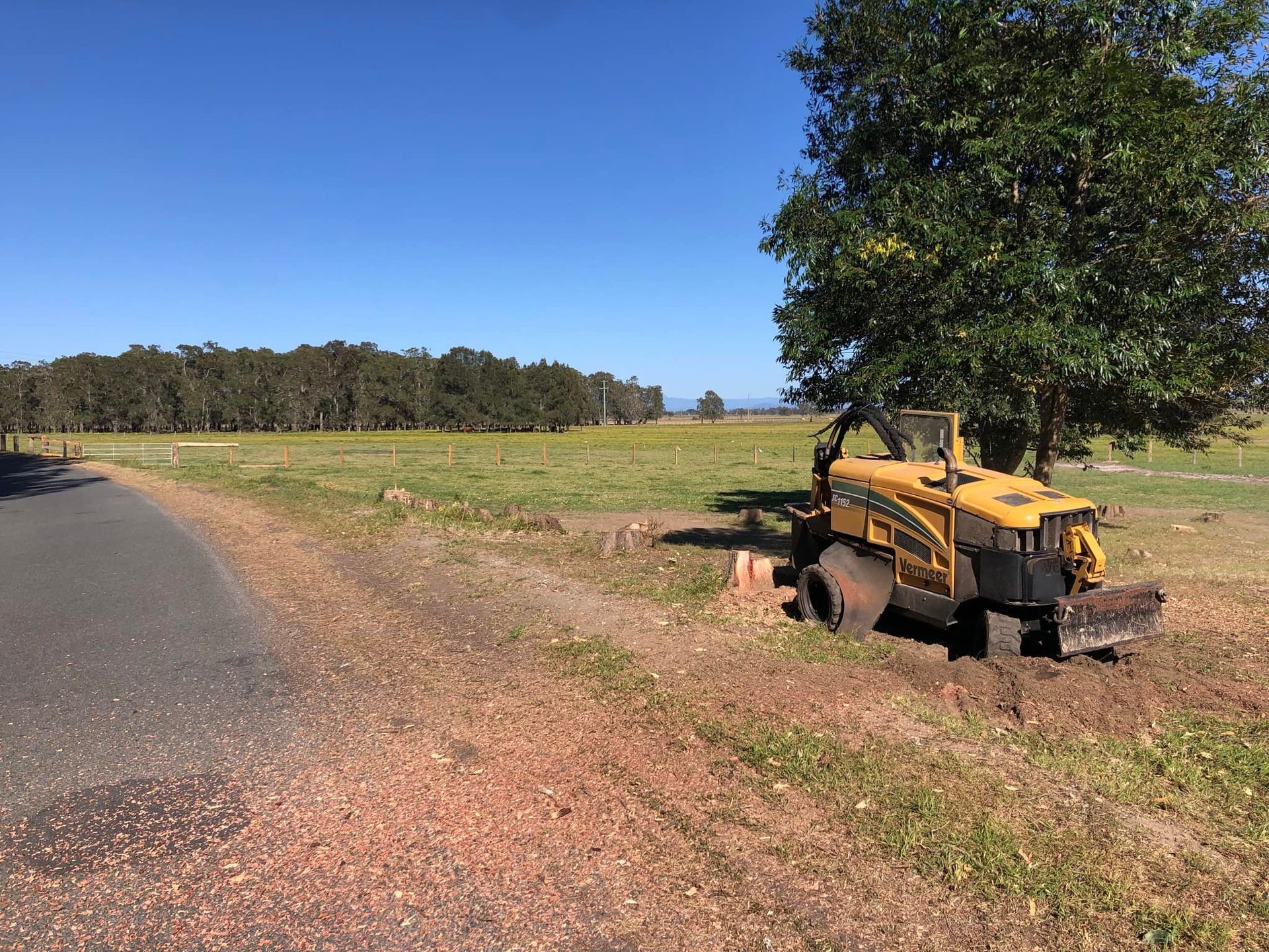 A Yellow Stump Grinder Beside a Road, Grinding a Tree Stump Near — MNC Trees in Laurieton, NSW