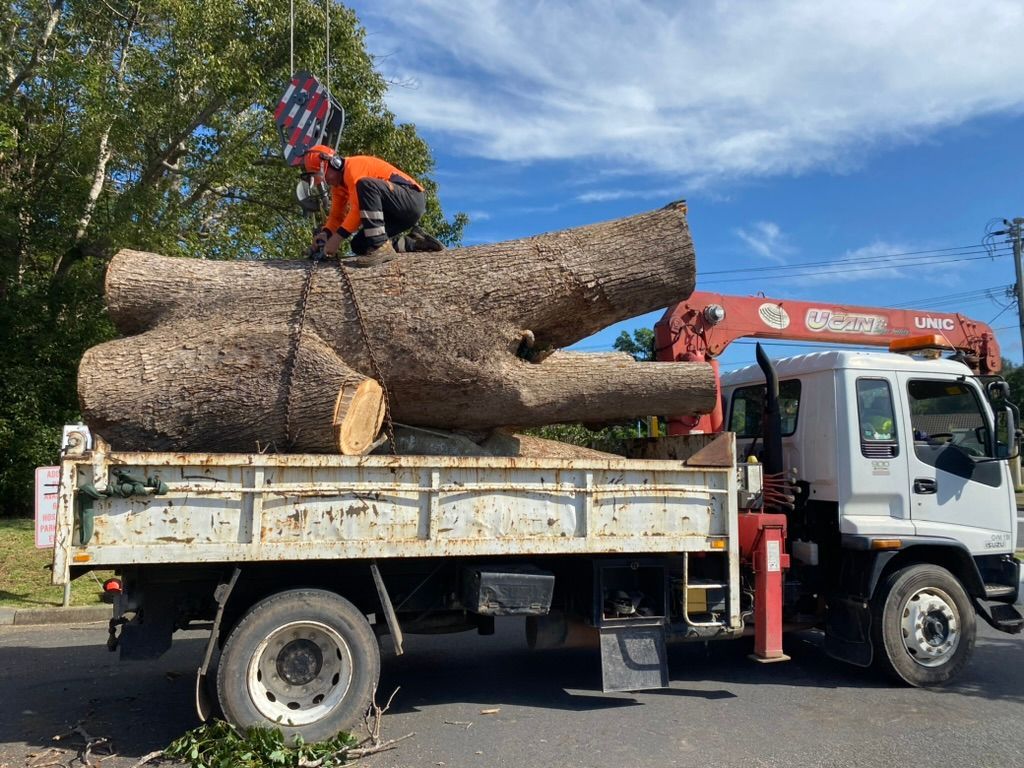 A Tree Trunk Is Loaded onto A Truck Bed by A Crane. a Worker Is on Top — MNC Trees in Bonny Hills, NSW