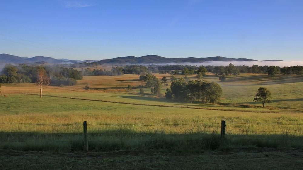 A Fence Surrounds a Grassy Field — MNC Trees in Wauchope, NSW