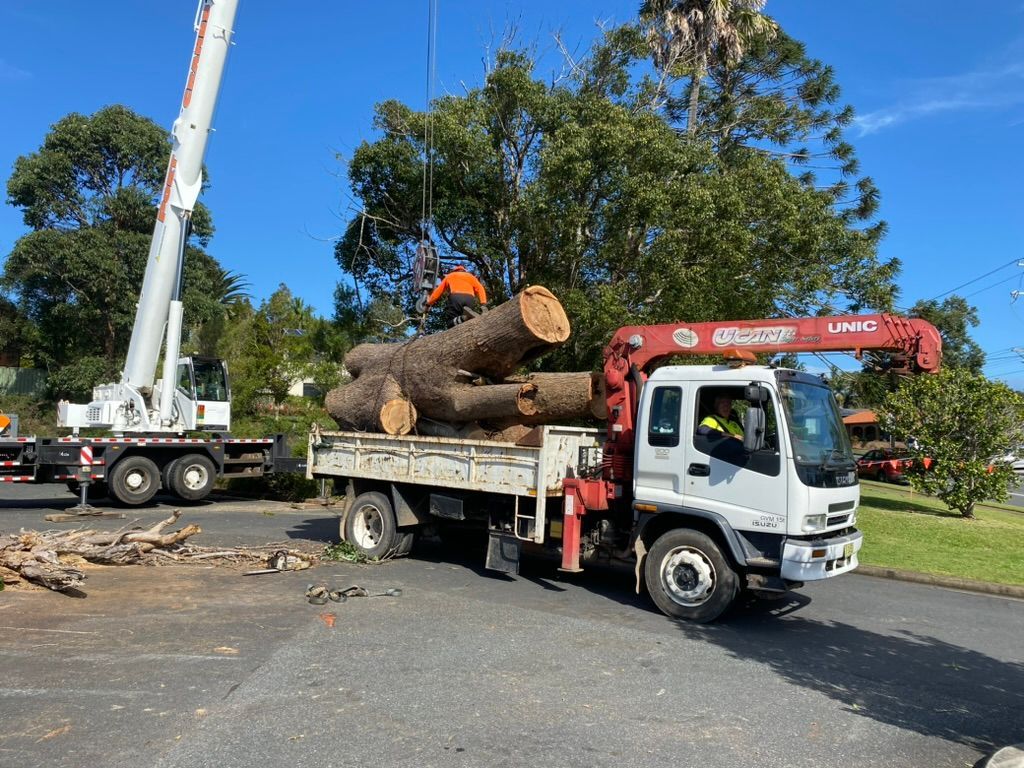 Tree Removal: Crane Loading Large Logs onto A Truck on A Sunny Day — MNC Trees in Wauchope, NSW
