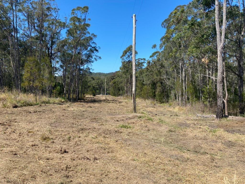 Clearing in a forest with tall poles and dry grass under a blue sky. — MNC Trees in Port Macquarie, NSW