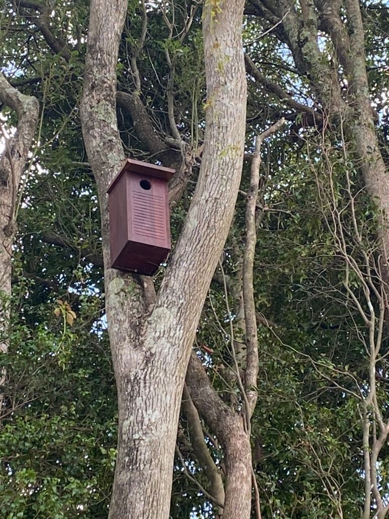 Habitat Creation for Small Animals — MNC Trees in Port Macquarie, NSW
