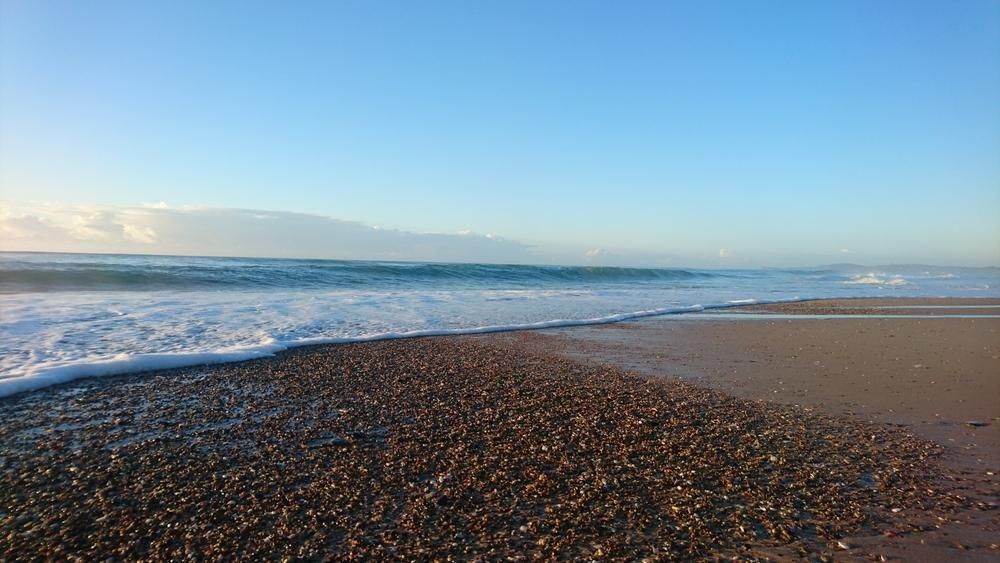 A Beach with Waves Crashing on The Shore — MNC Trees in Lake Cathie, NSW
