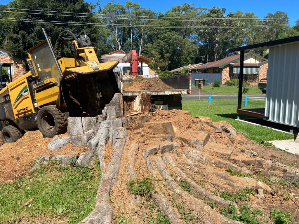 Yellow Stump Grinder Pulverizing a Tree Stump in A Yard — MNC Trees in Wauchope, NSW