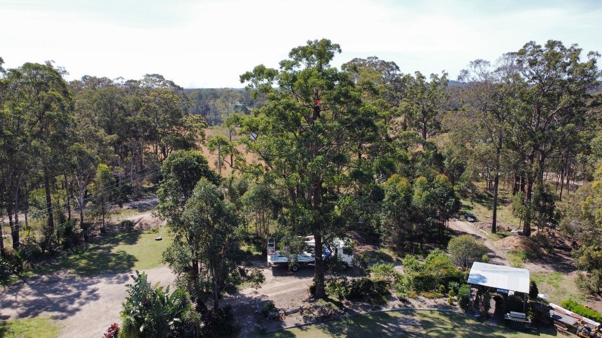 Overhead Shot of A Rural Property with A Large Tree in The Center — MNC Trees in Wauchope, NSW