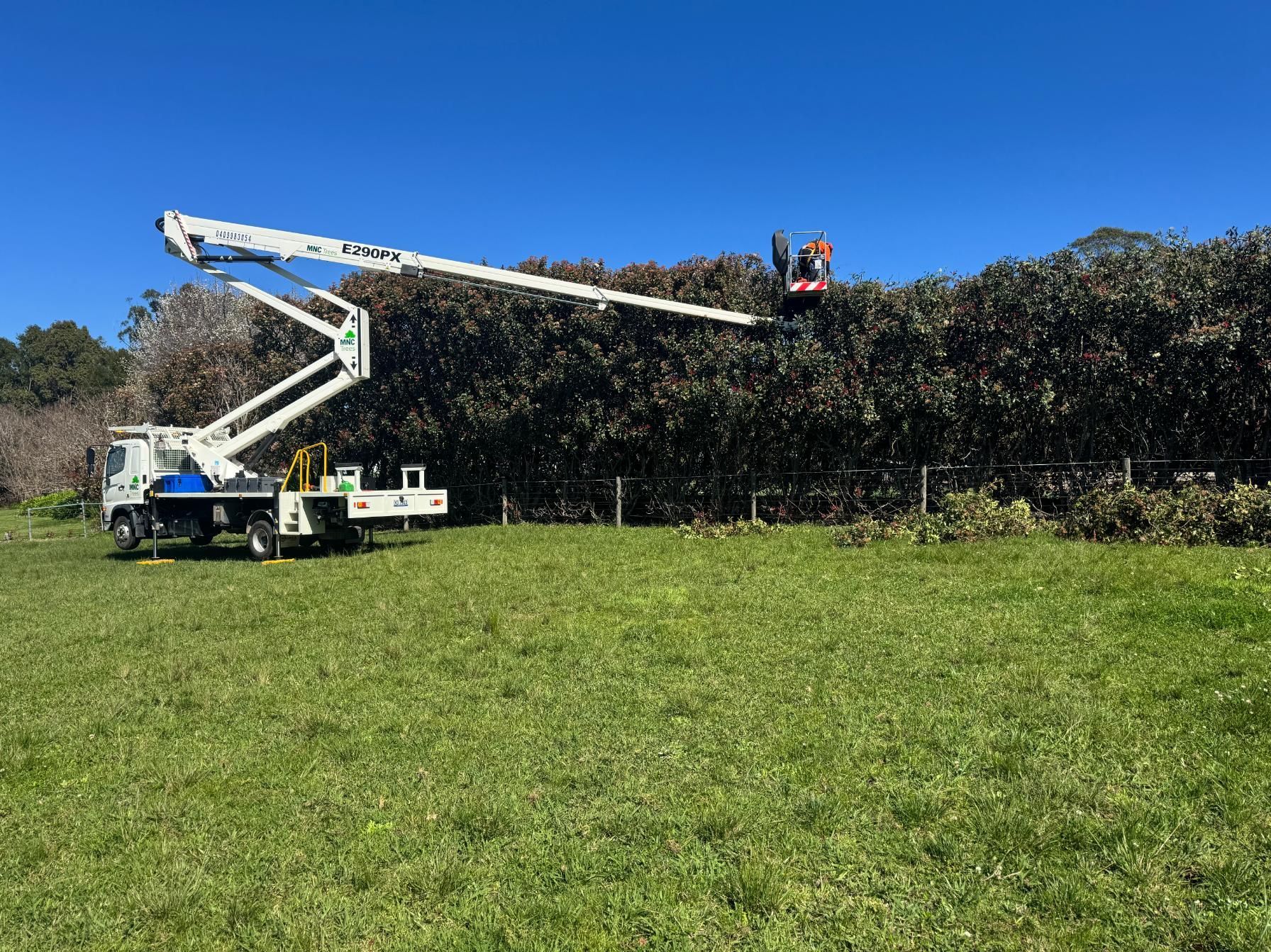 A Truck With a Lift Trimming a Tall Hedge Under a Bright Blue Sky — MNC Trees in Wauchope, NSW