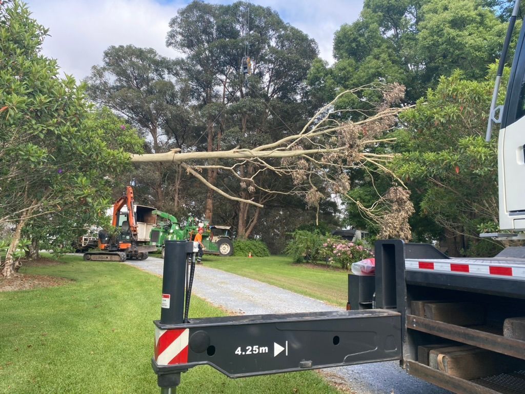 A Long Tree Branch Being Removed by Machinery in a Yard — MNC Trees in Kempsey, NSW