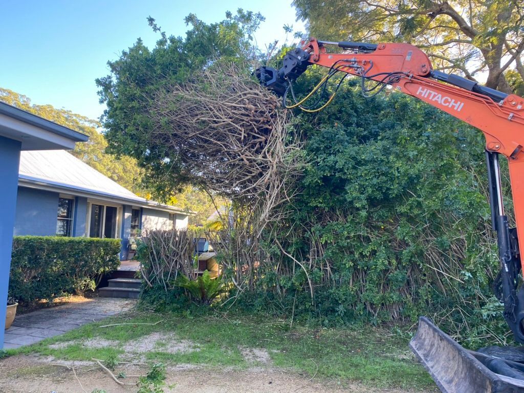 An orange machine removing a tree near a blue house on a sunny day. — MNC Trees in Port Macquarie, NSW