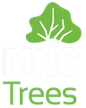 Arborist in Port Macquarie