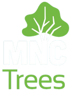 Arborist in Port Macquarie