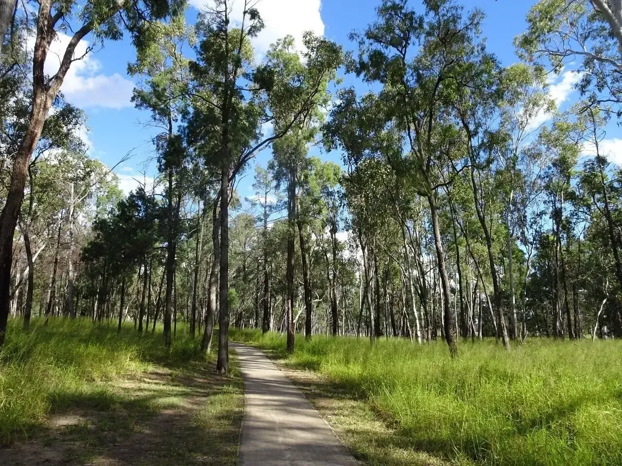 Discover the Great Outdoors in Miles QLD