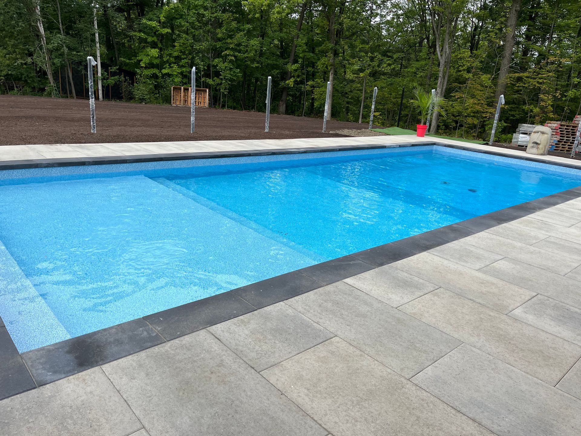 Une grande piscine est entourée d'arbres et d'un patio.