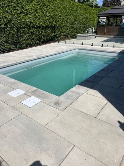 Une grande piscine entourée d'arbres par une journée ensoleillée