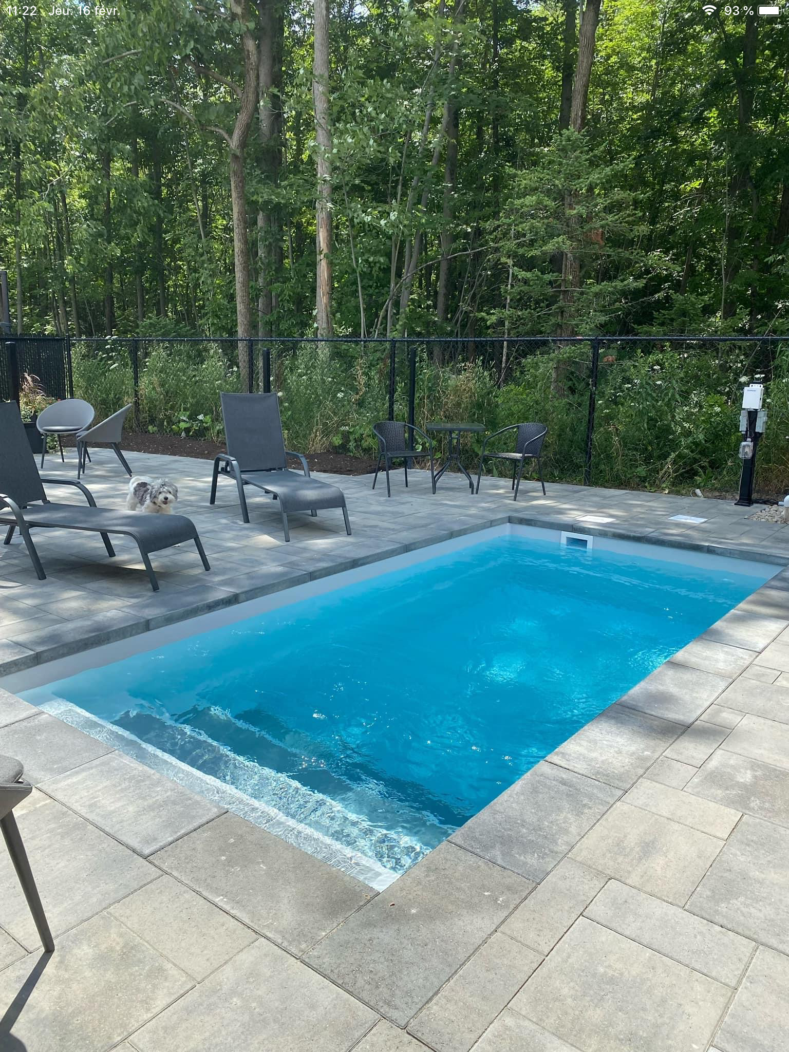 Une petite piscine est entourée de chaises et d'arbres.