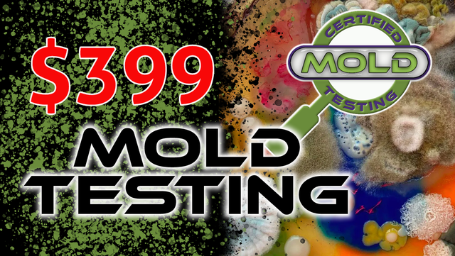 $399 Mold Testing, Certified Lab Mold Testing