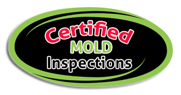 Mold Test Company - From $27 - Atlanta