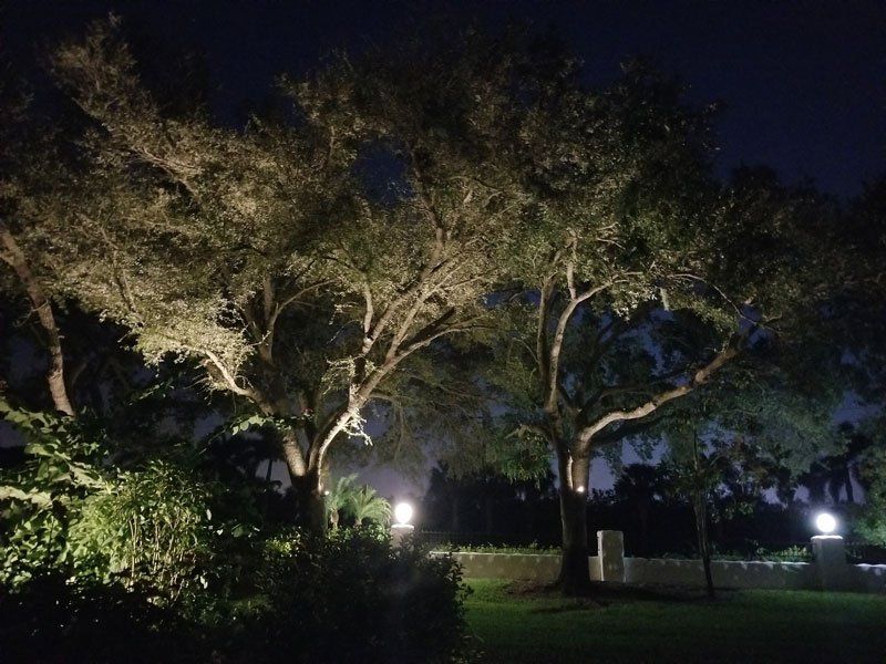 Lighting in the Garden Area — Fort Myers, FL — Island Coast Lawn & Landscaping, Inc.