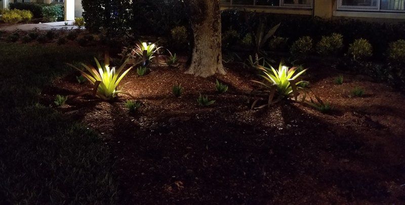 Garden Lighting — Fort Myers, FL — Island Coast Lawn & Landscaping, Inc.