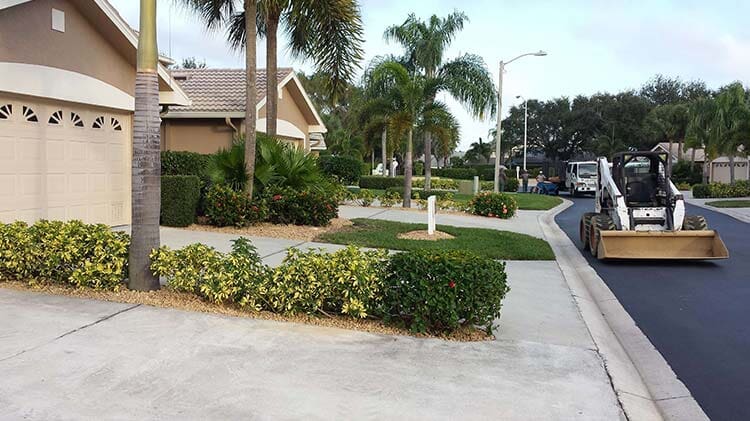 Plants Along the Road — Fort Myers, FL — Island Coast Lawn & Landscaping, Inc.