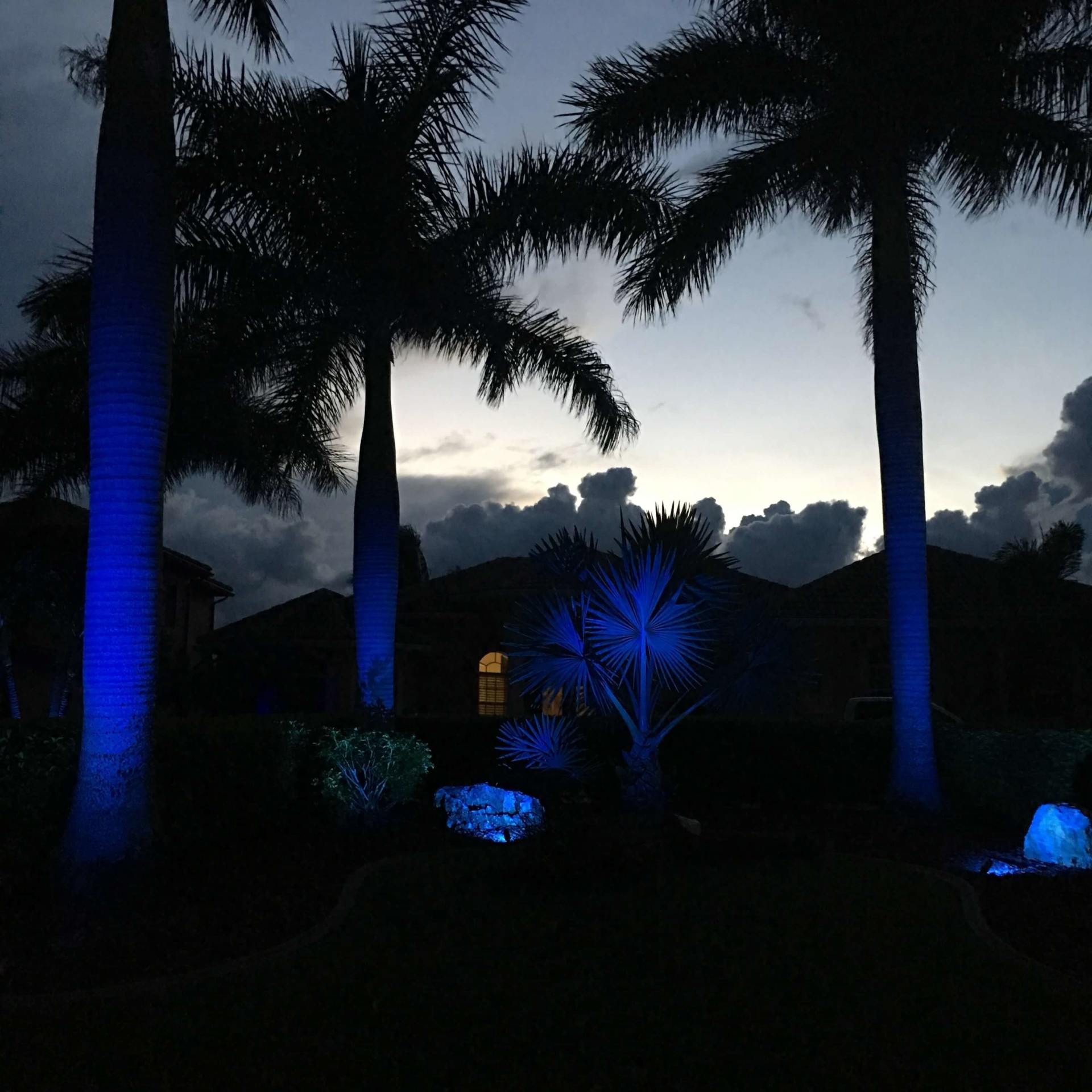 Blue Color Lighting — Fort Myers, FL — Island Coast Lawn & Landscaping, Inc.