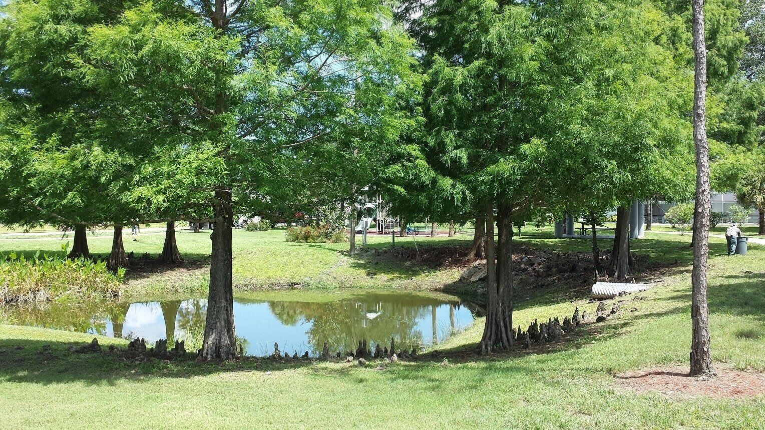 Commercial Pond Landscaped — Pond with Trees in Fort Myers, FL